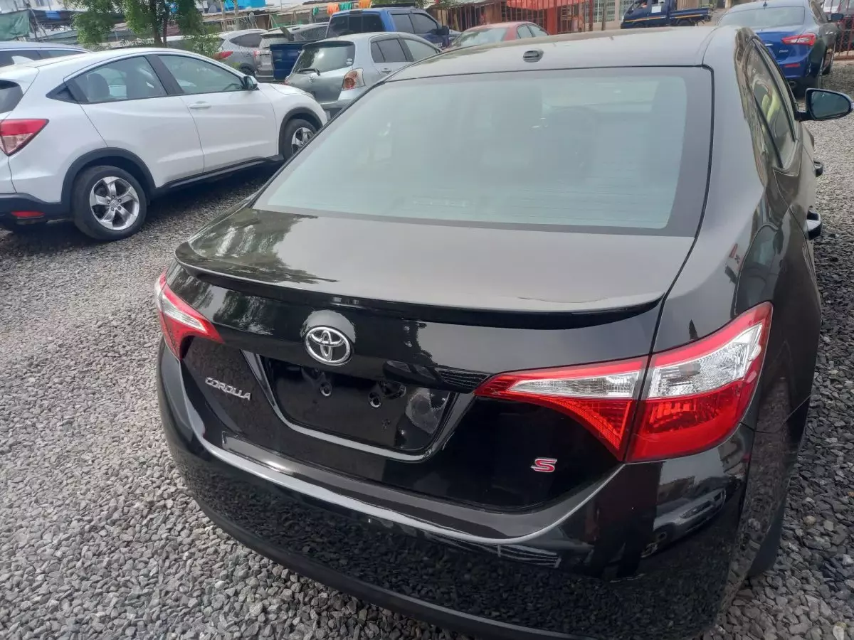 car Back