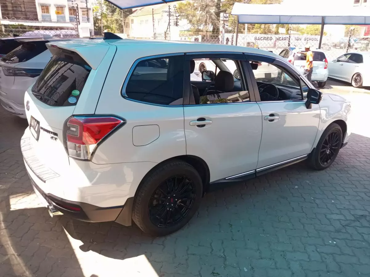 car Back