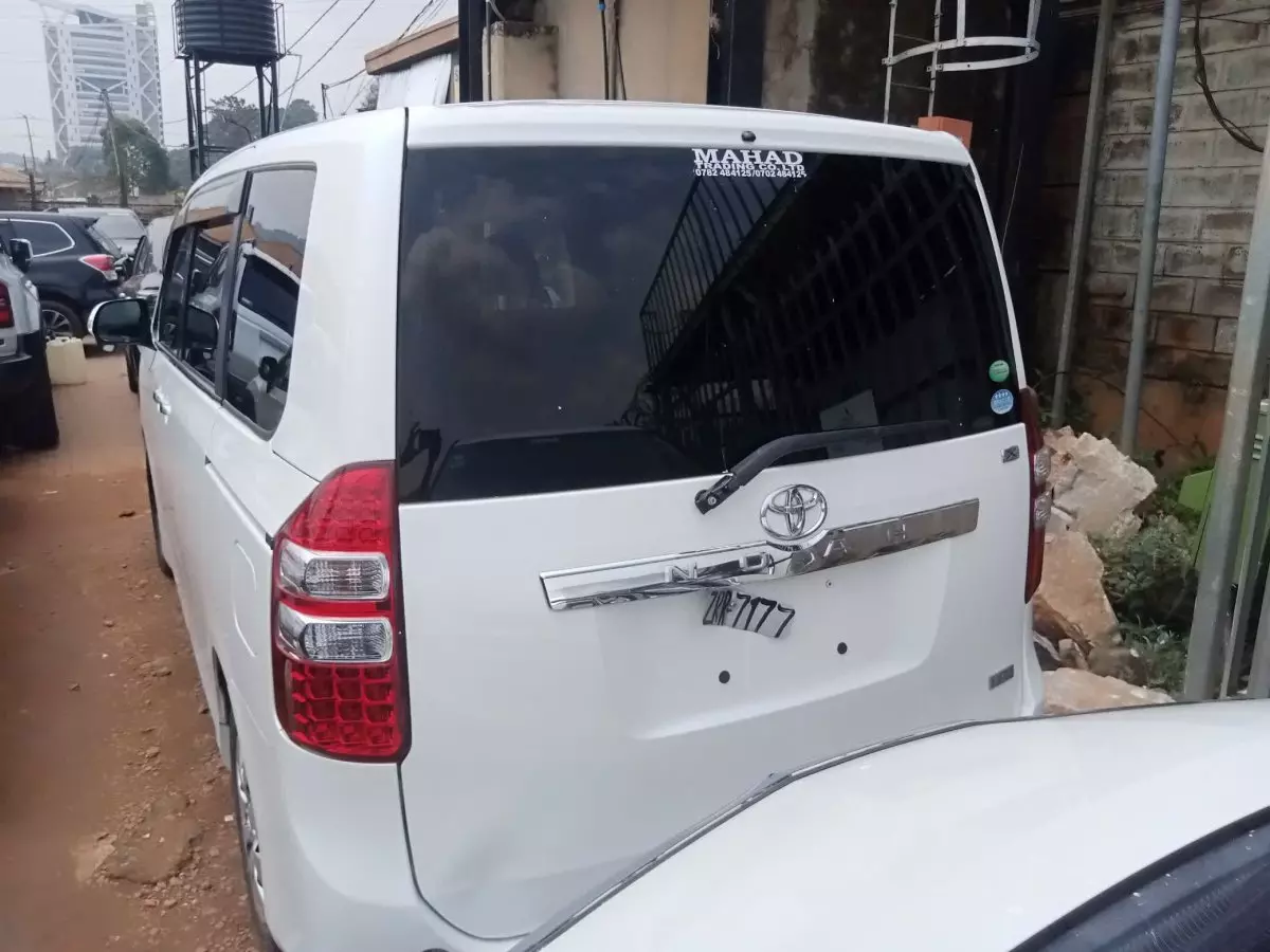 car Back