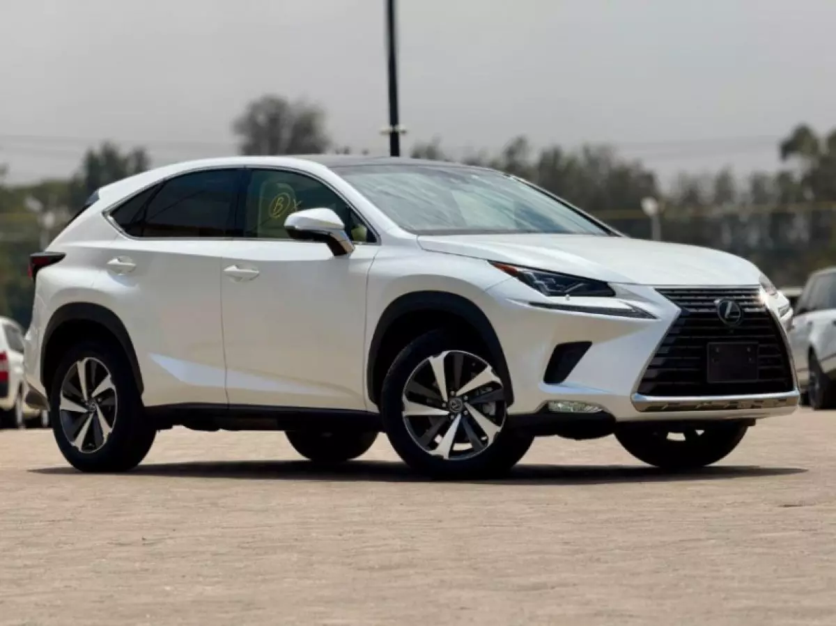 Lexus NX 300 - 2018