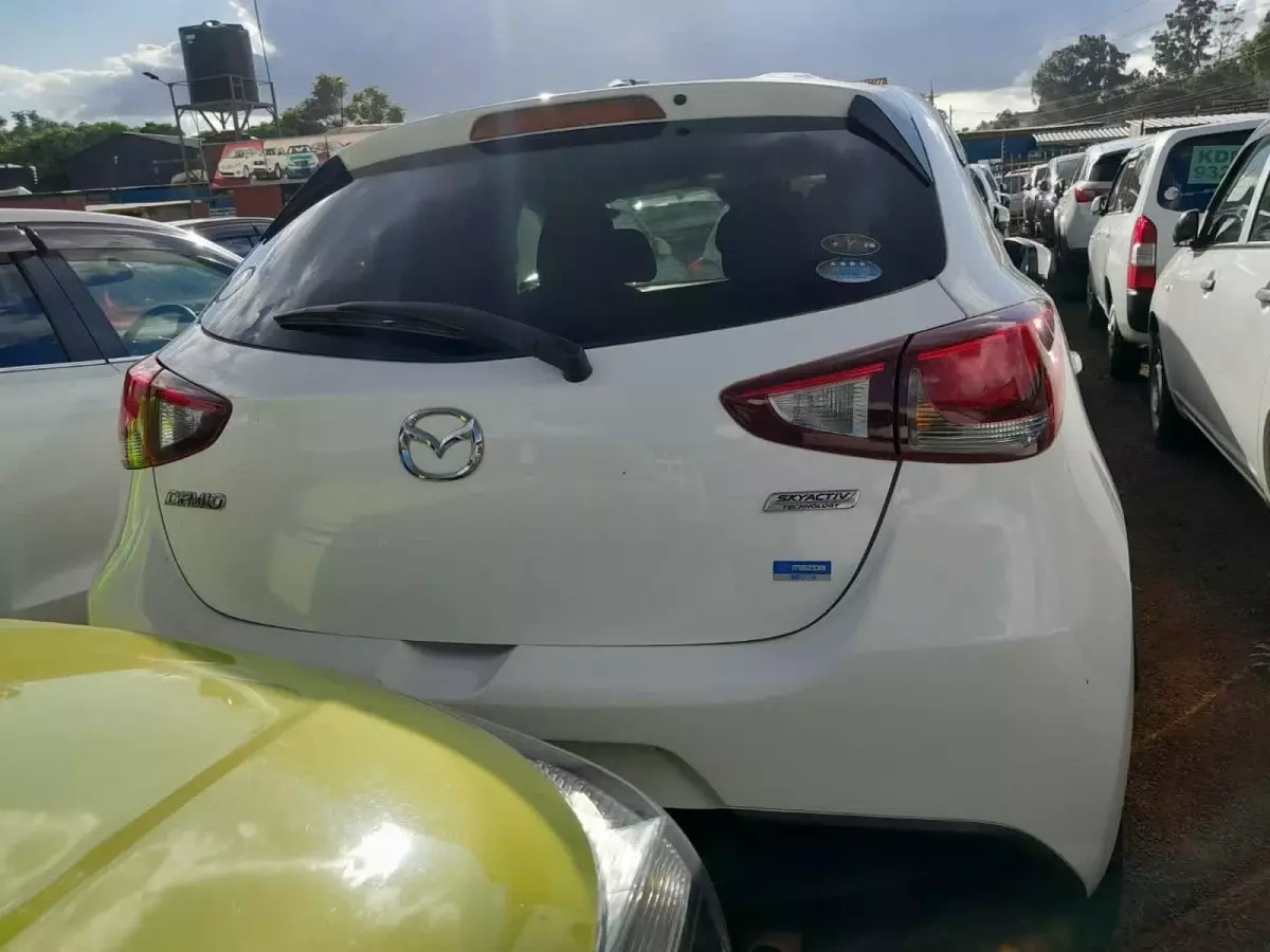 car Back