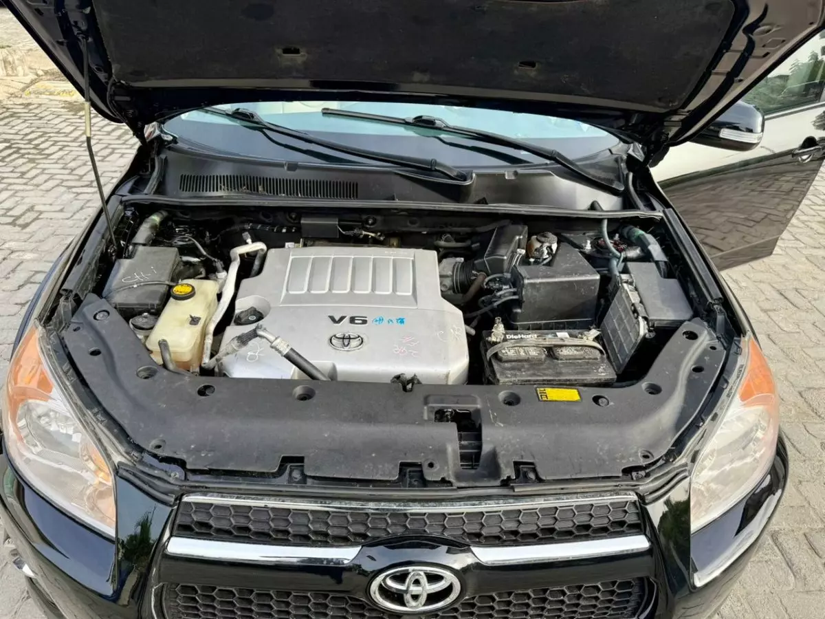 bonnet