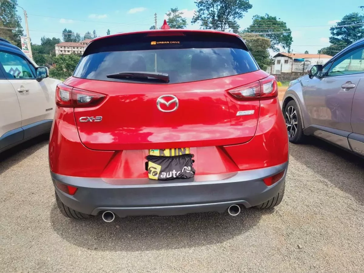 car Back