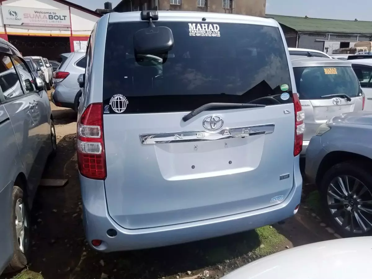 car Back