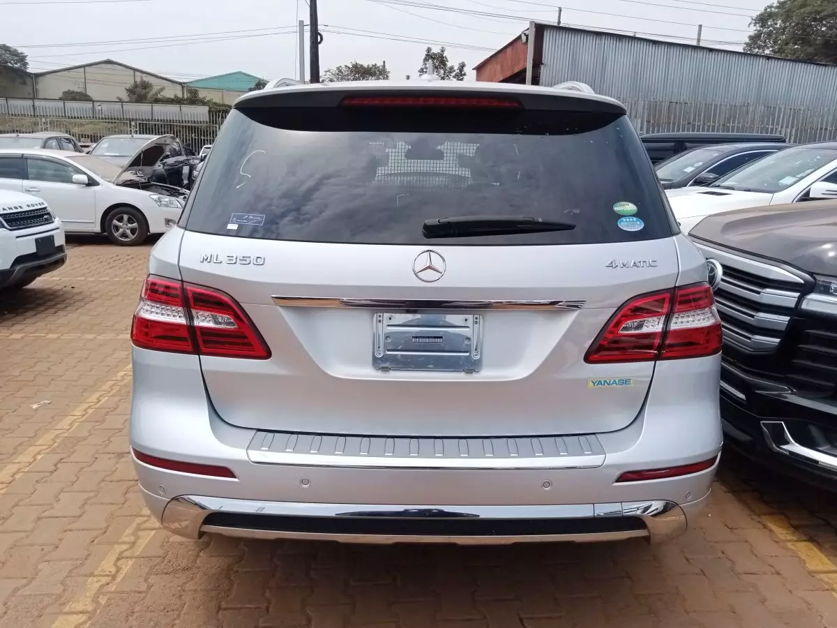 car Back