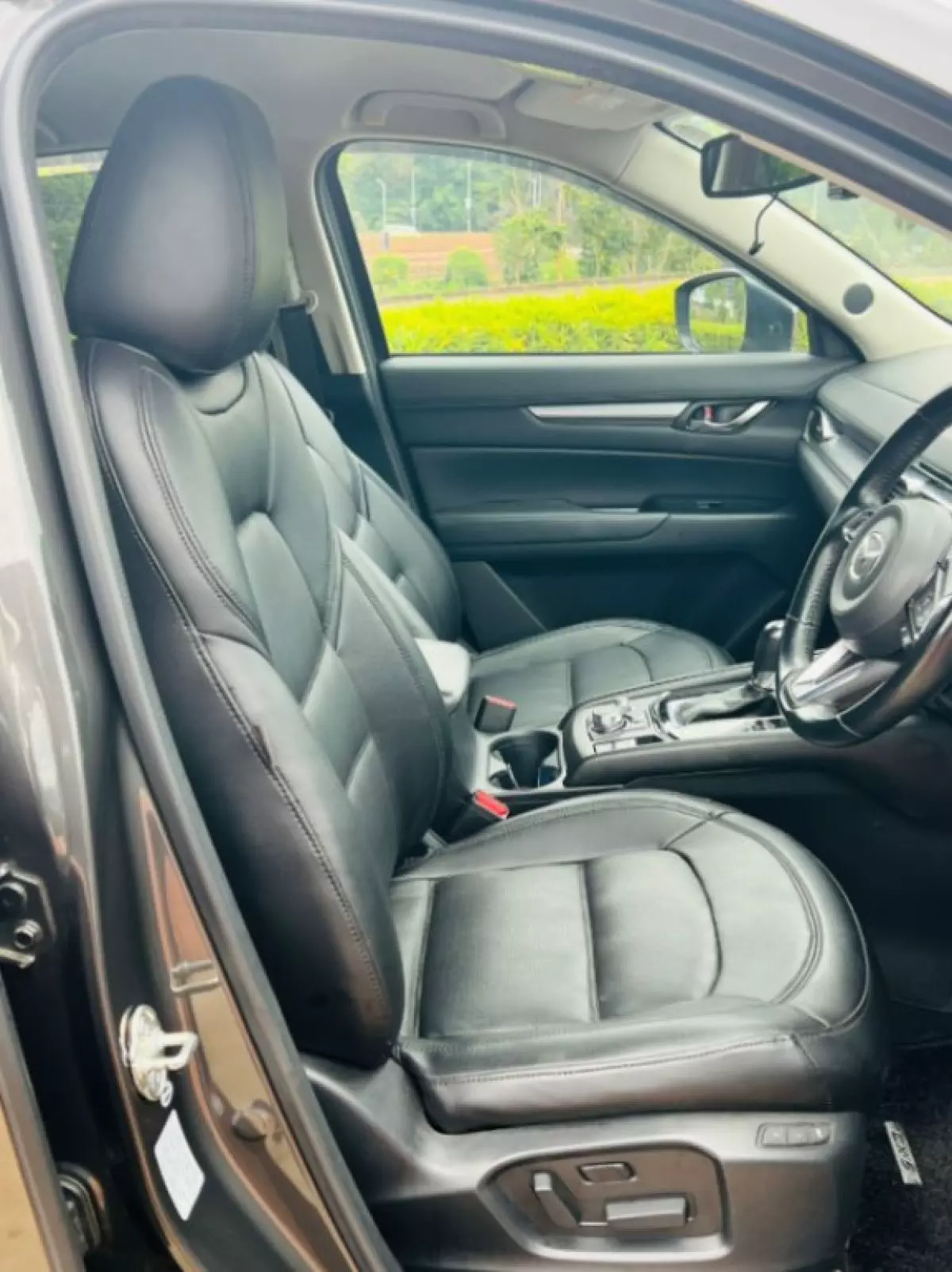 interiorBack