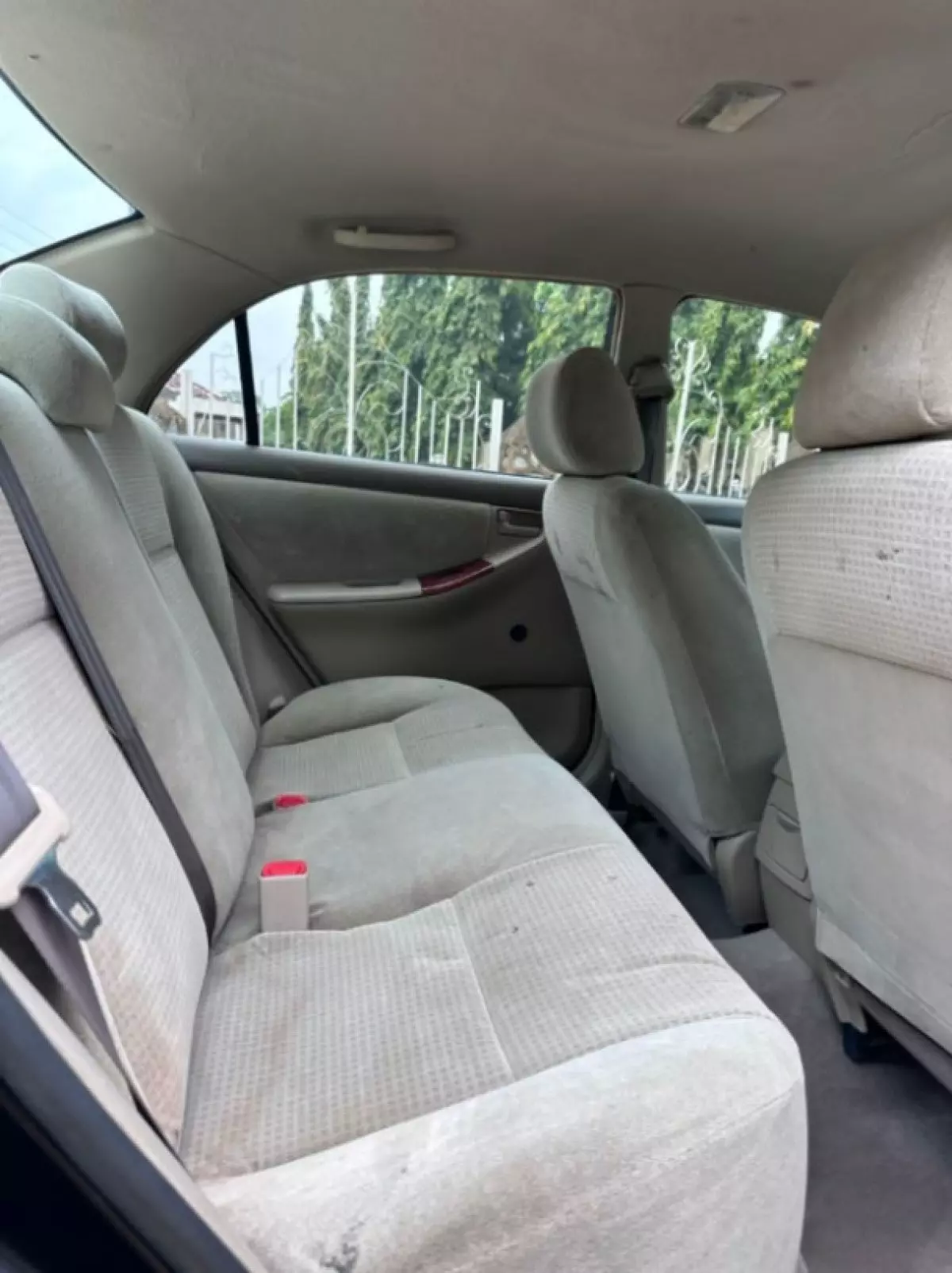 interiorBack