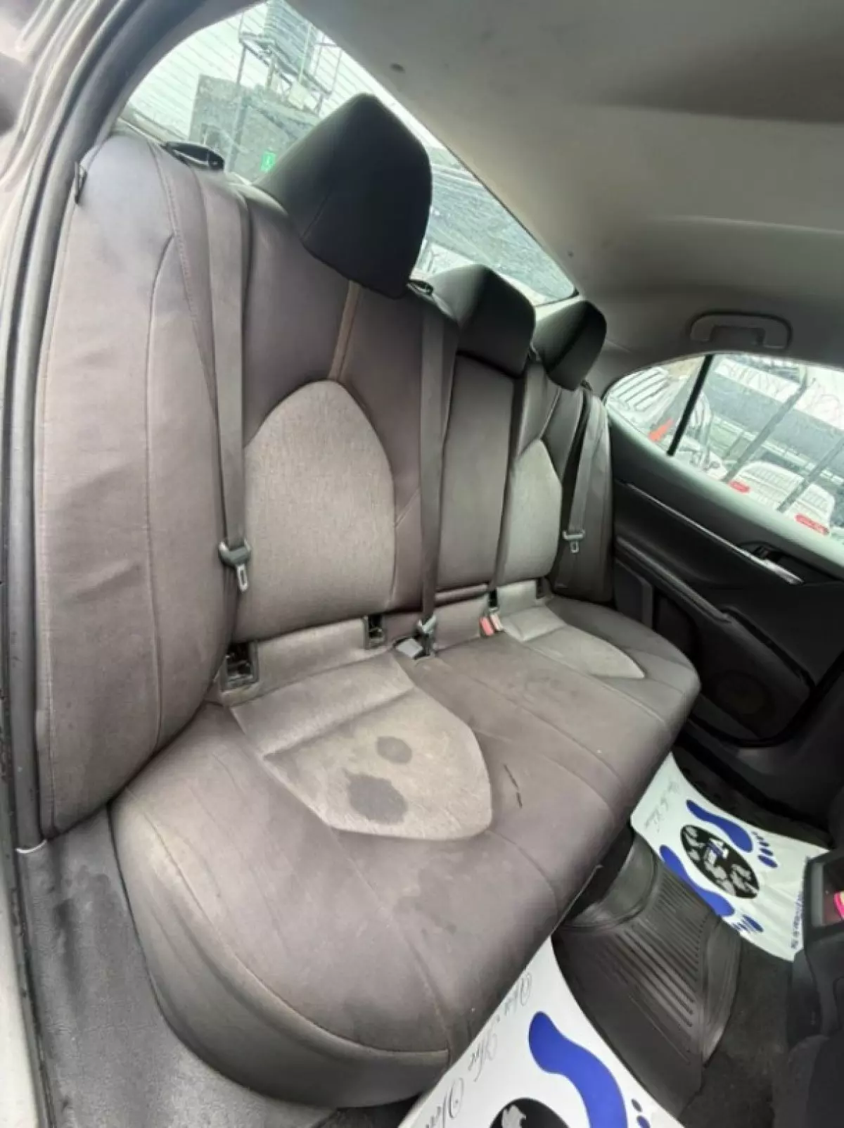 interiorBack