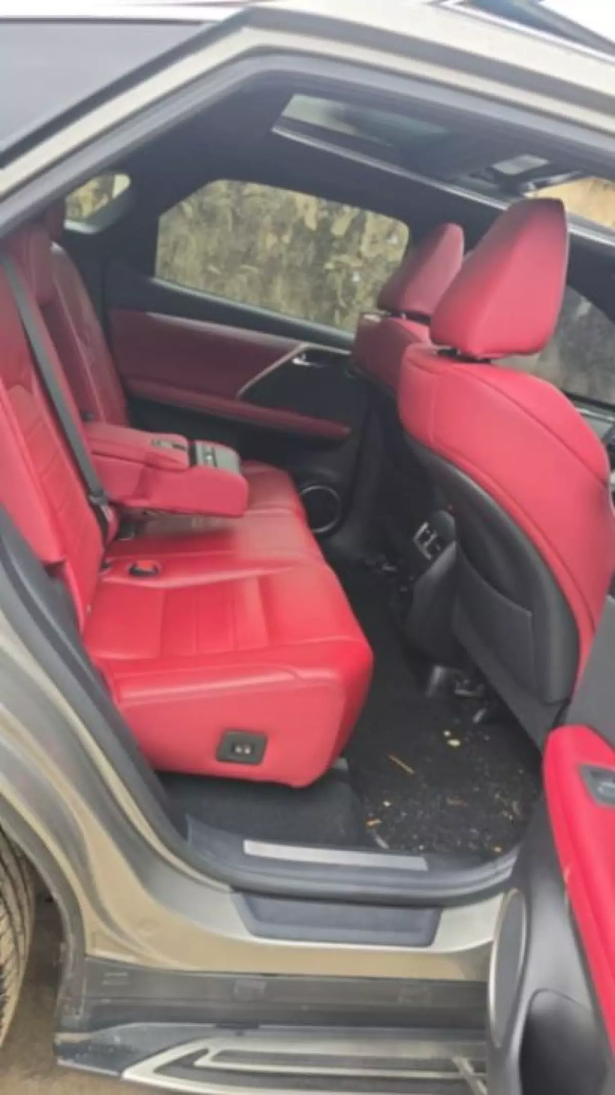 interiorBack