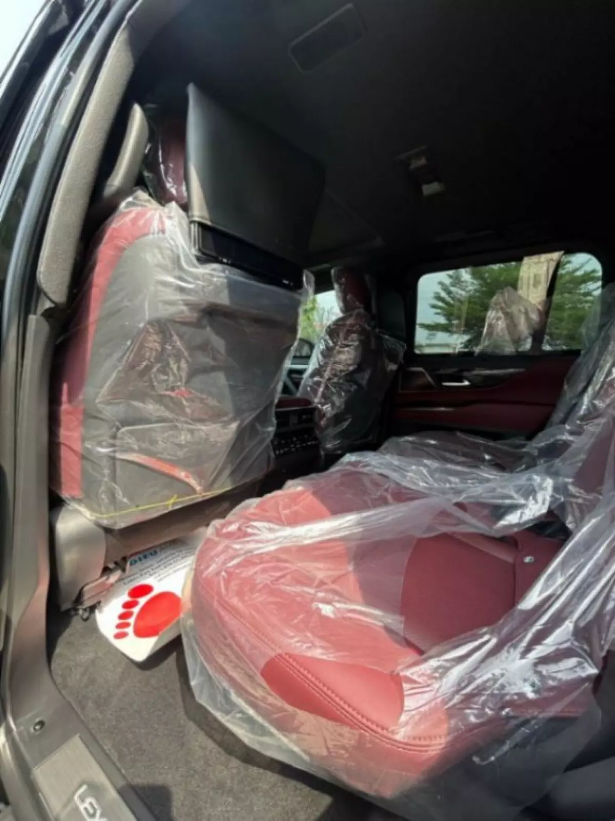 interiorBack