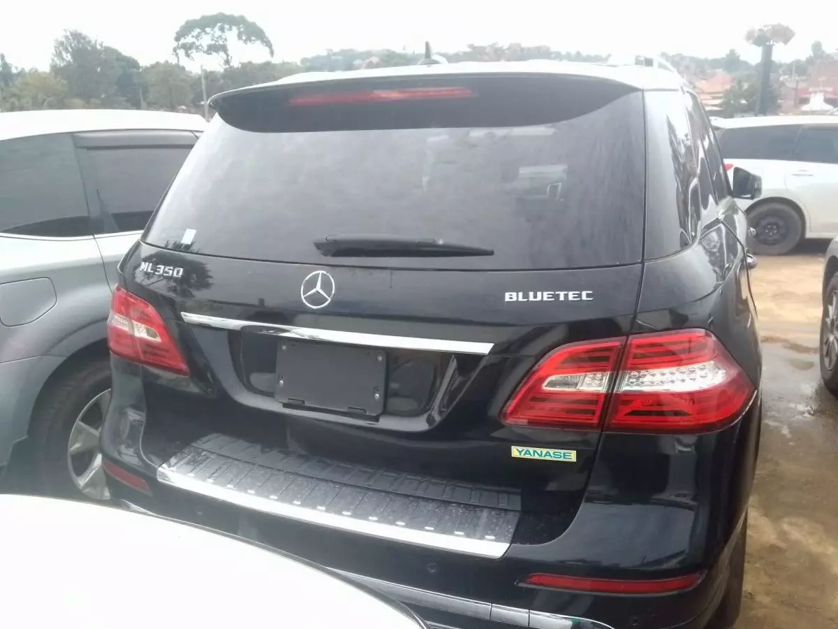 car Back