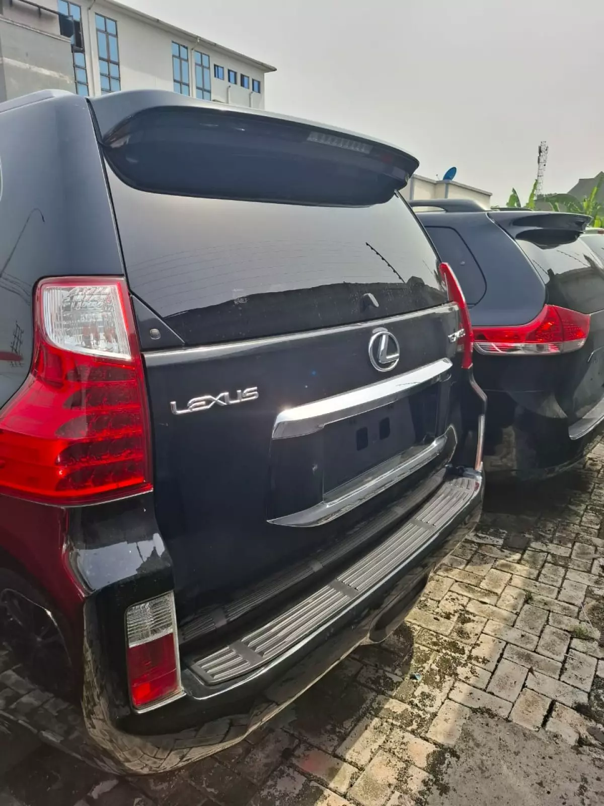 car Back