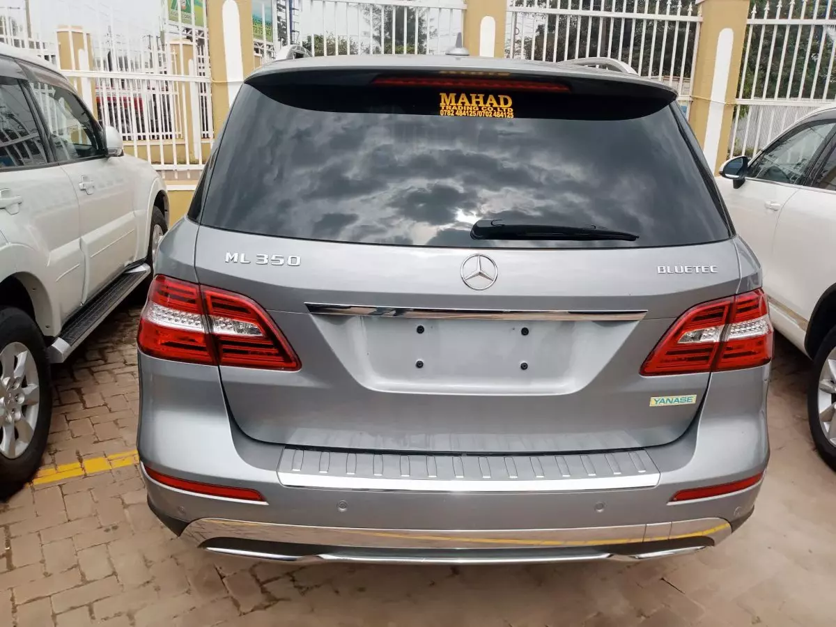 car Back
