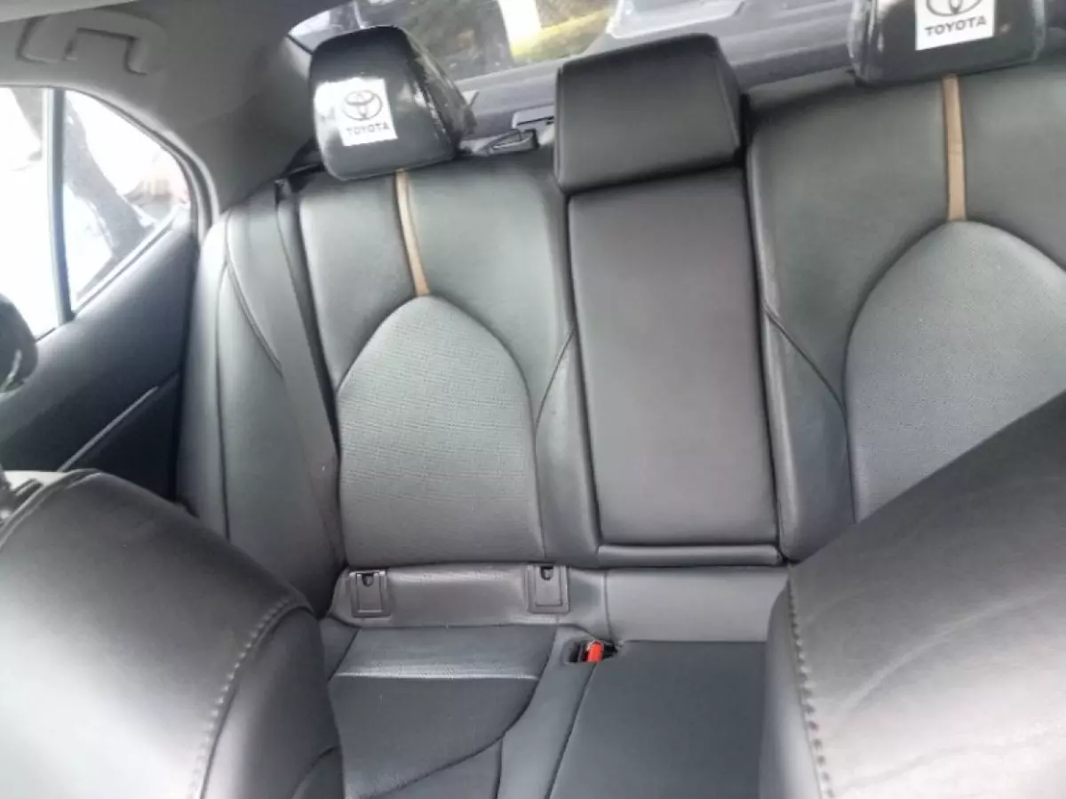 interiorBack