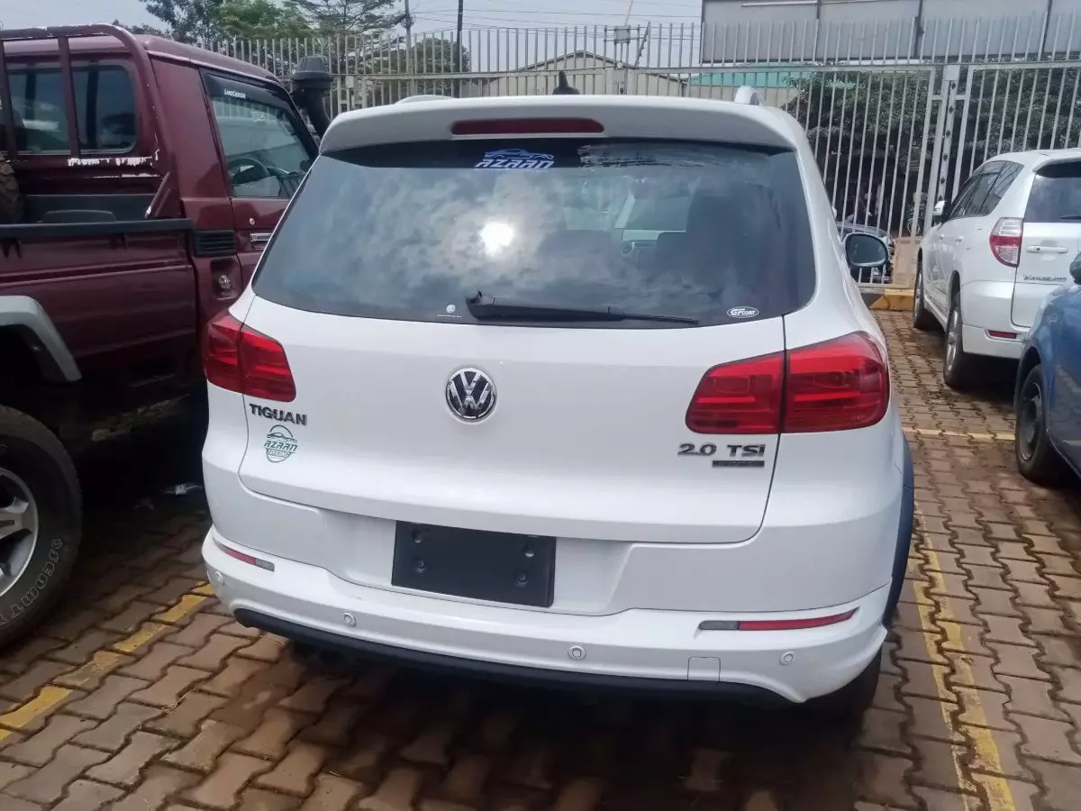 car Back