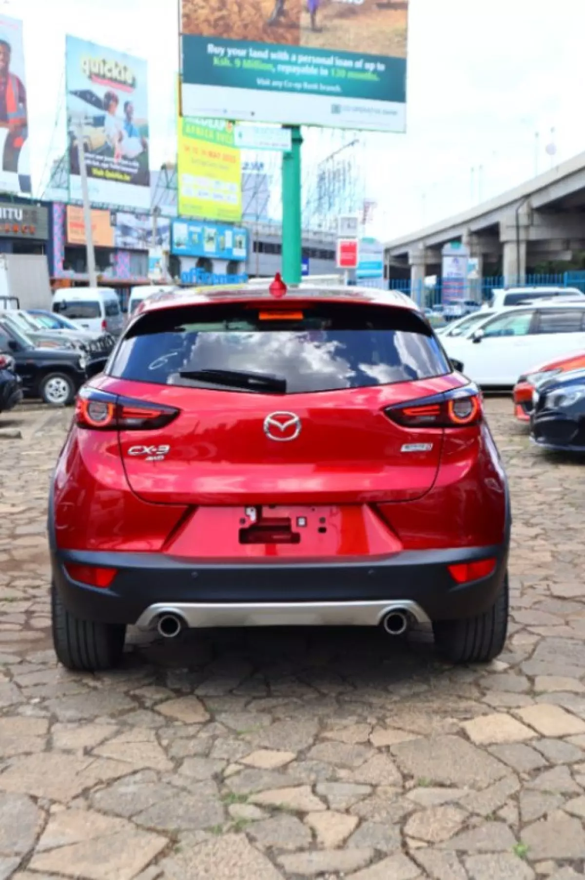 back