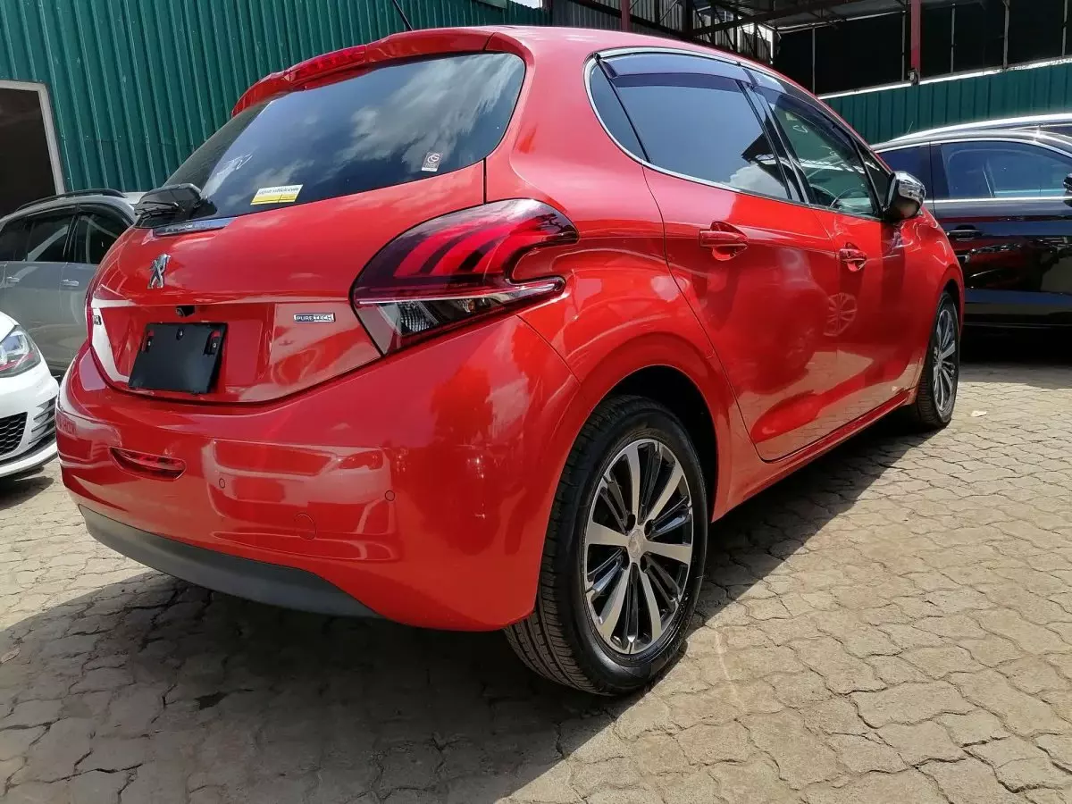 car Back