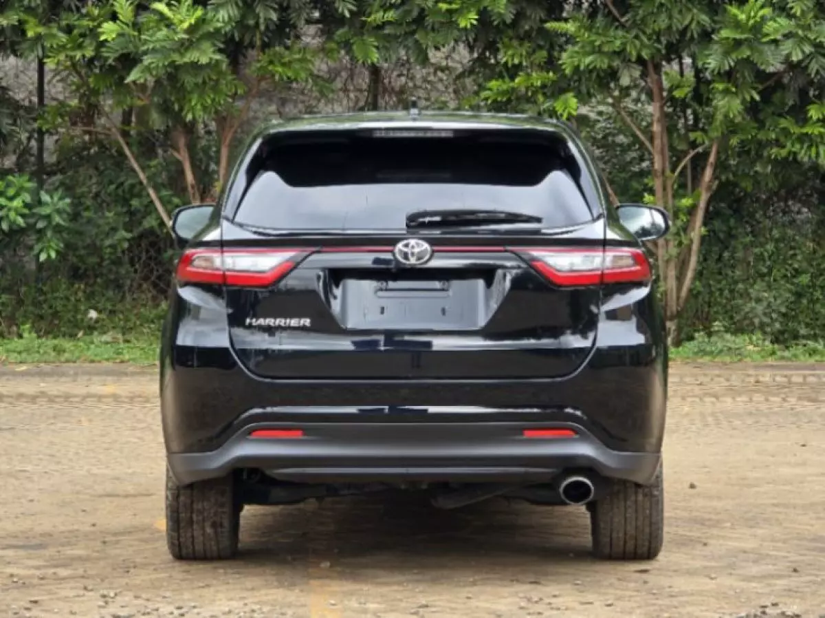 back
