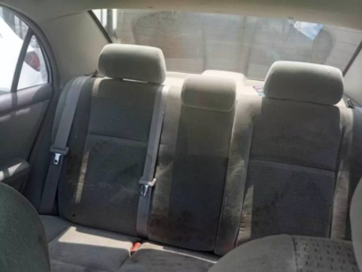interiorBack