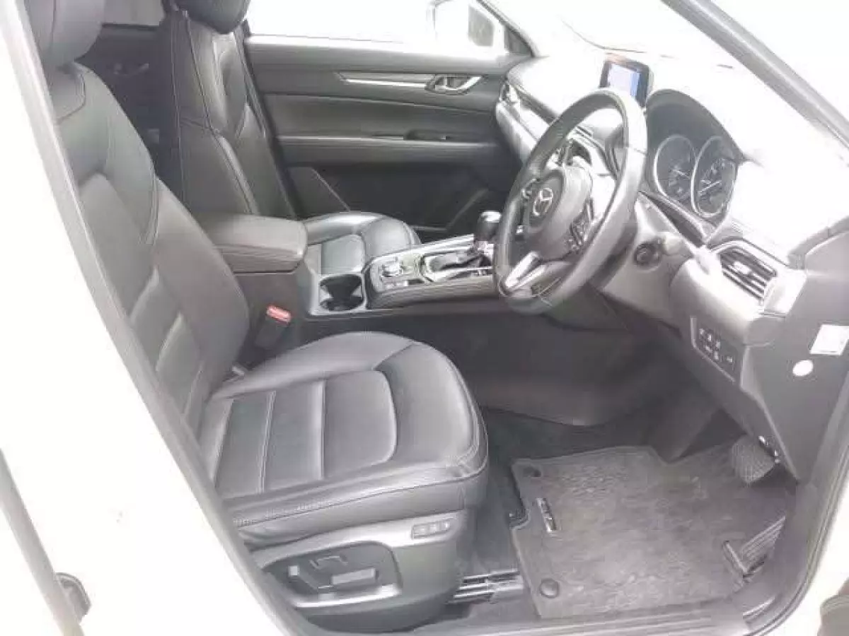 interiorBack