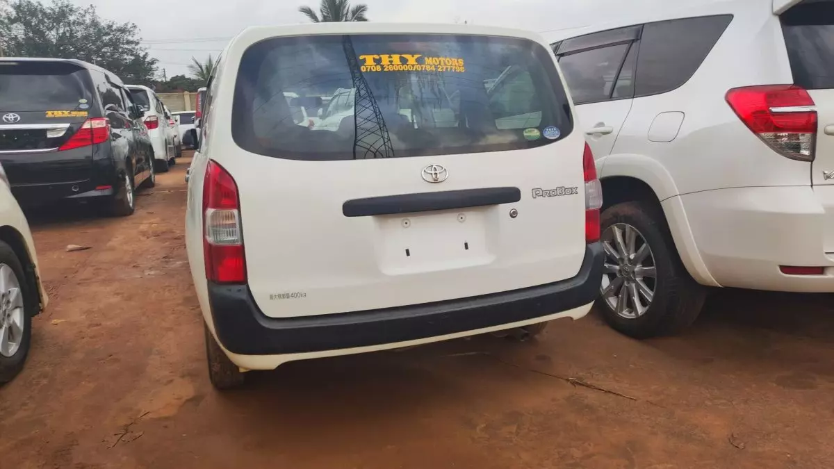 car Back