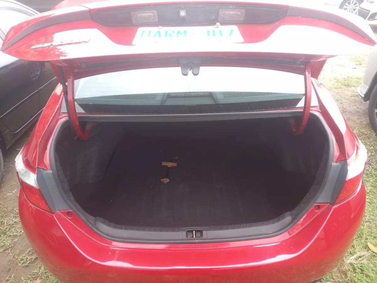 trunk