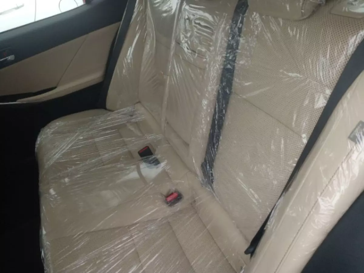 interiorBack