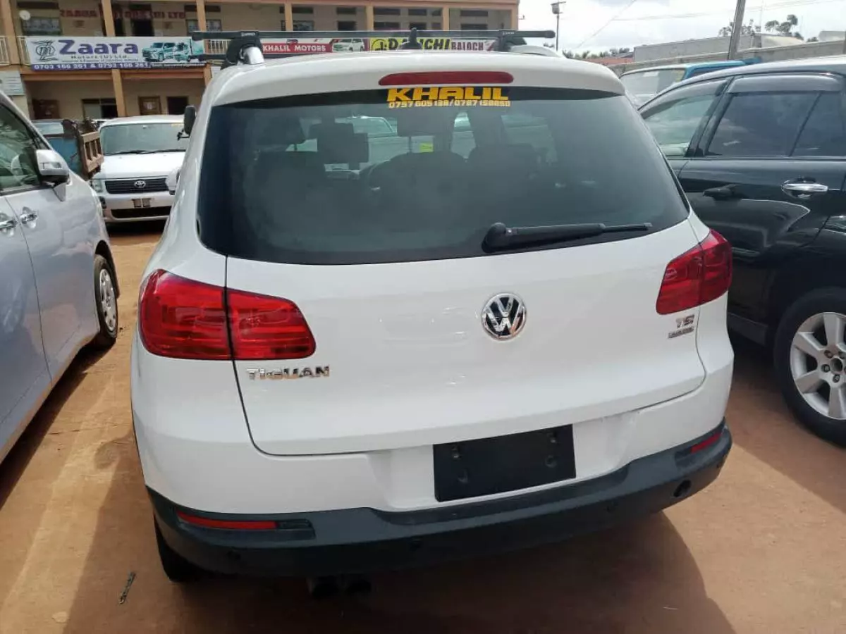 car Back
