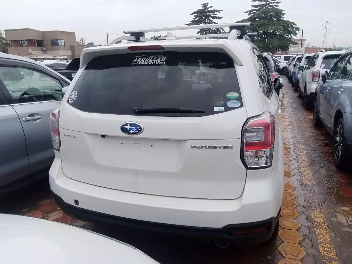car Back