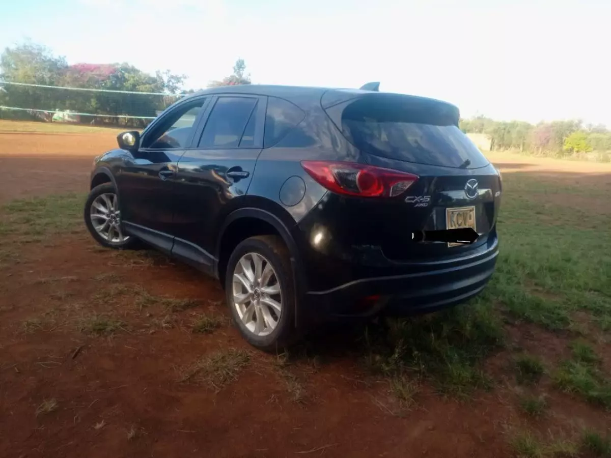 car Left Back