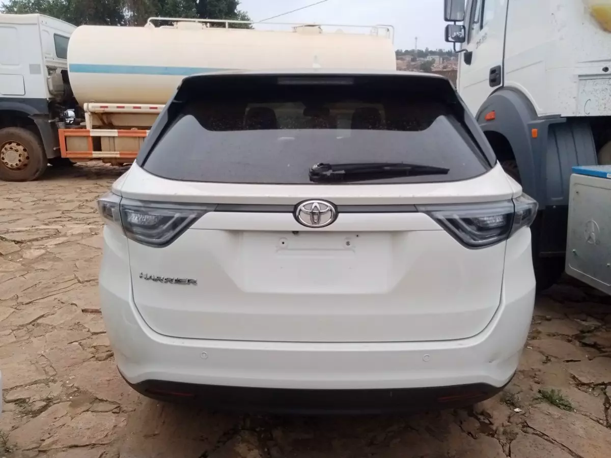 car Back