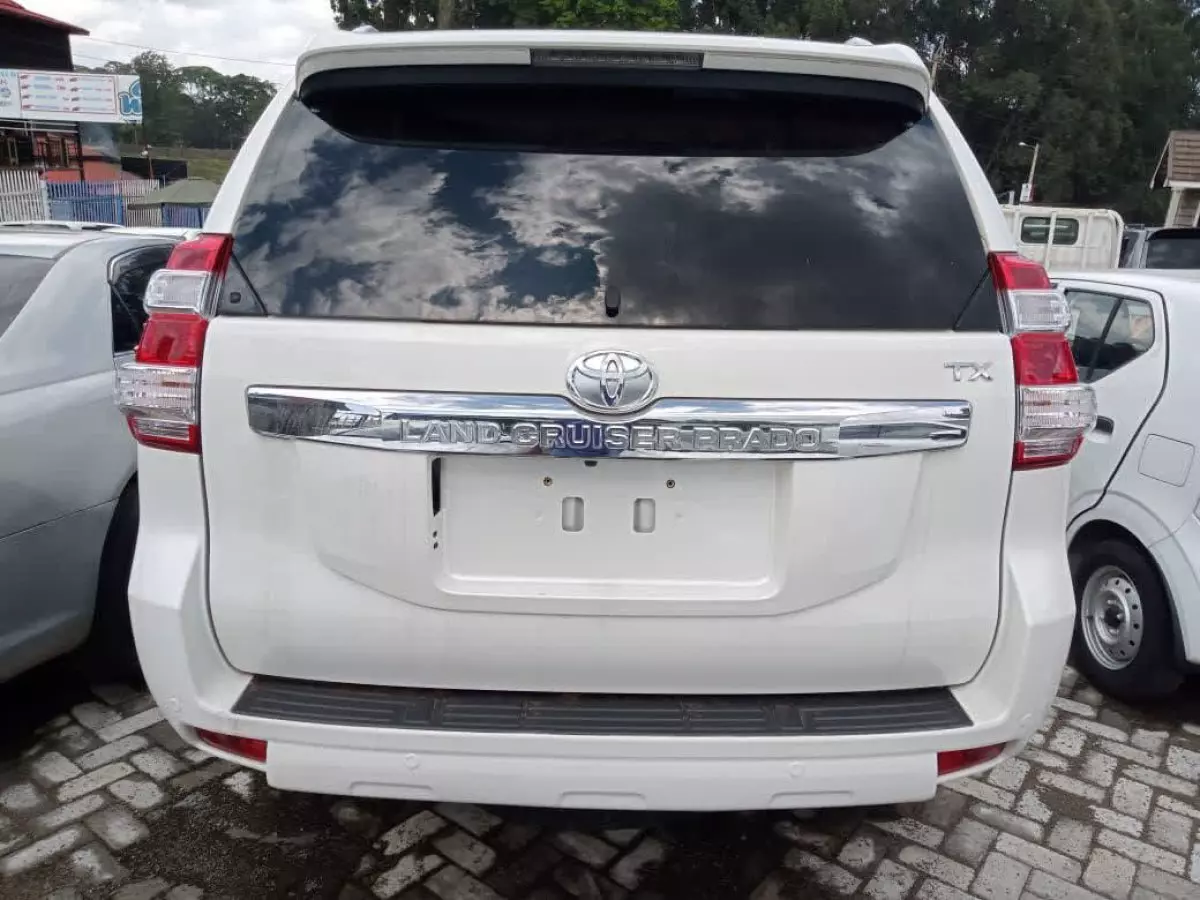 car Back