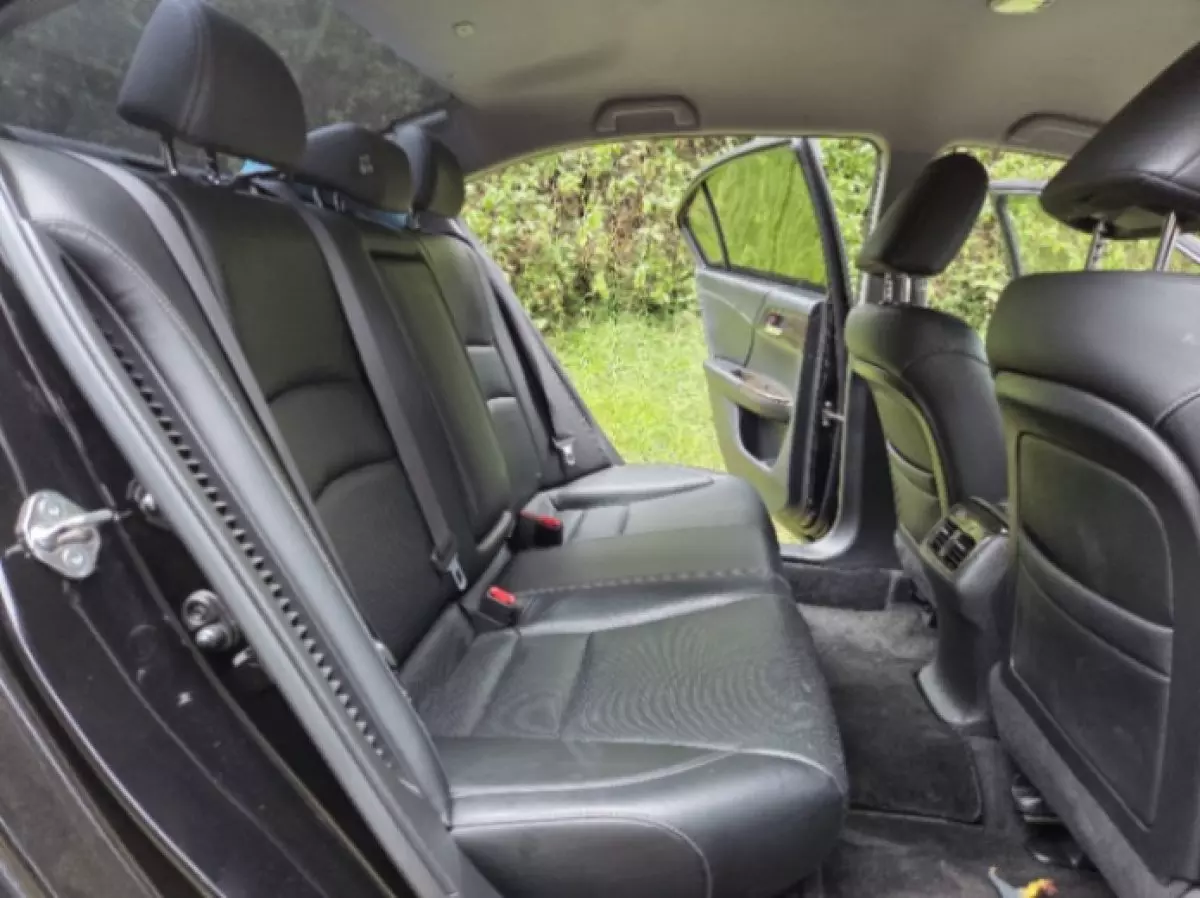 interiorBack
