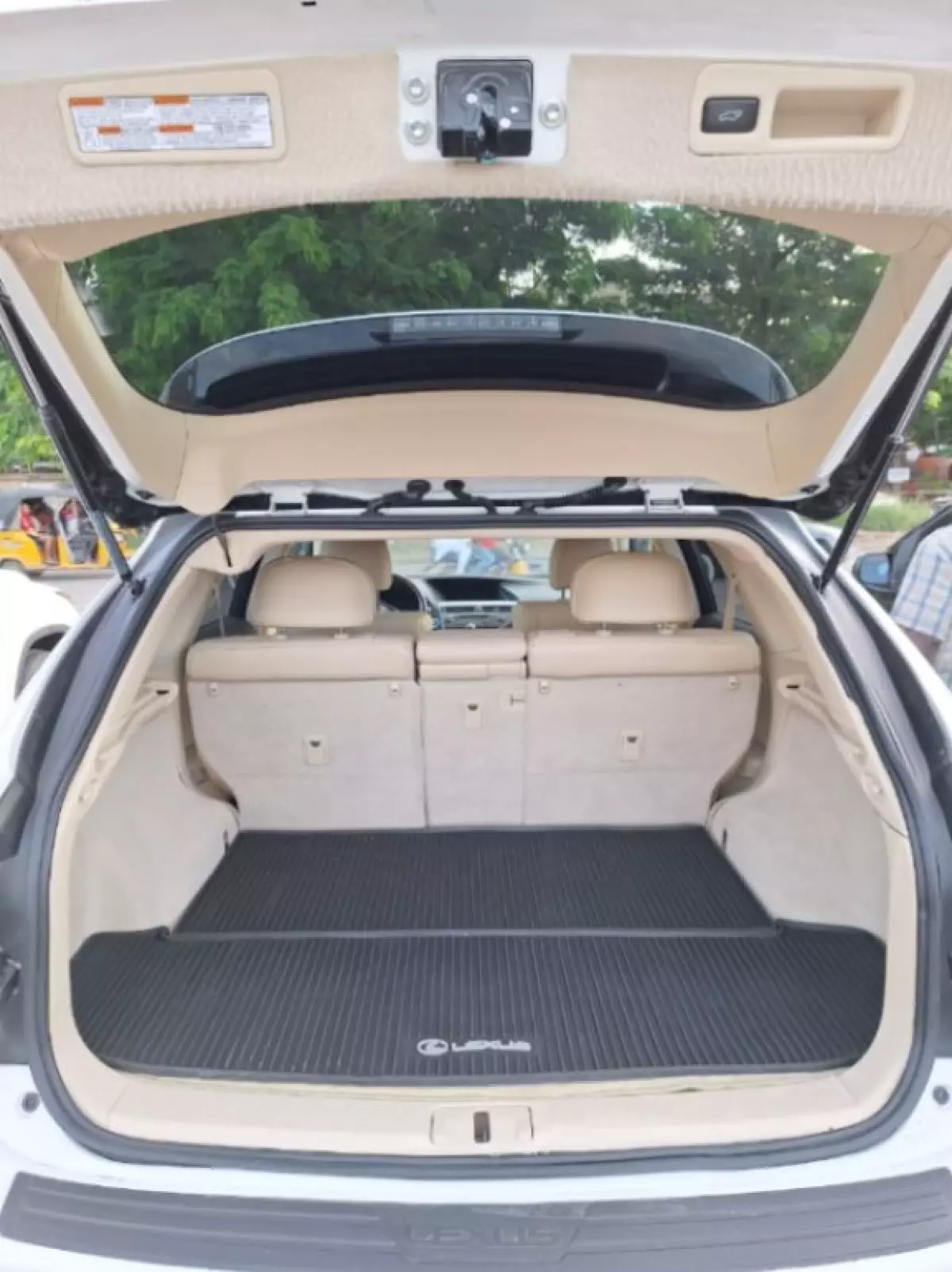 interiorBack