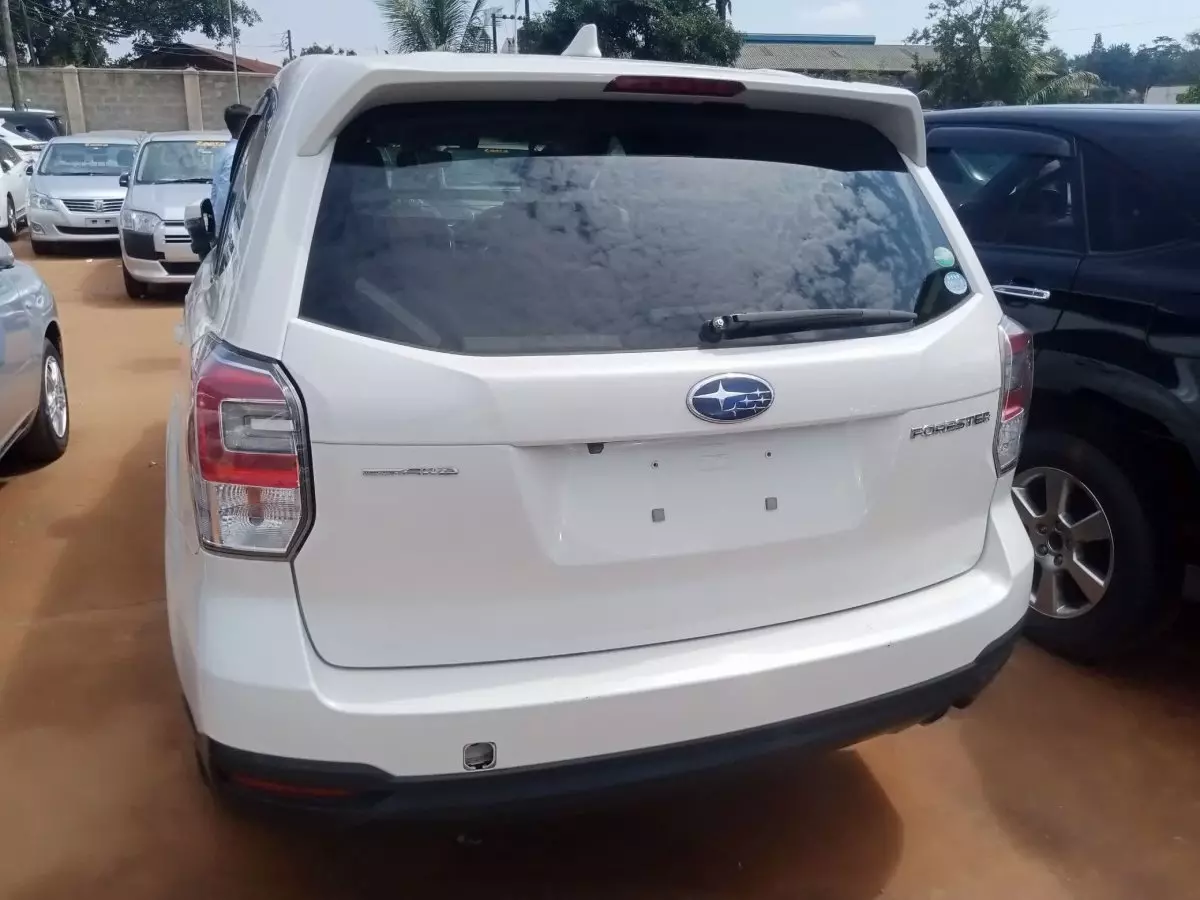 car Back