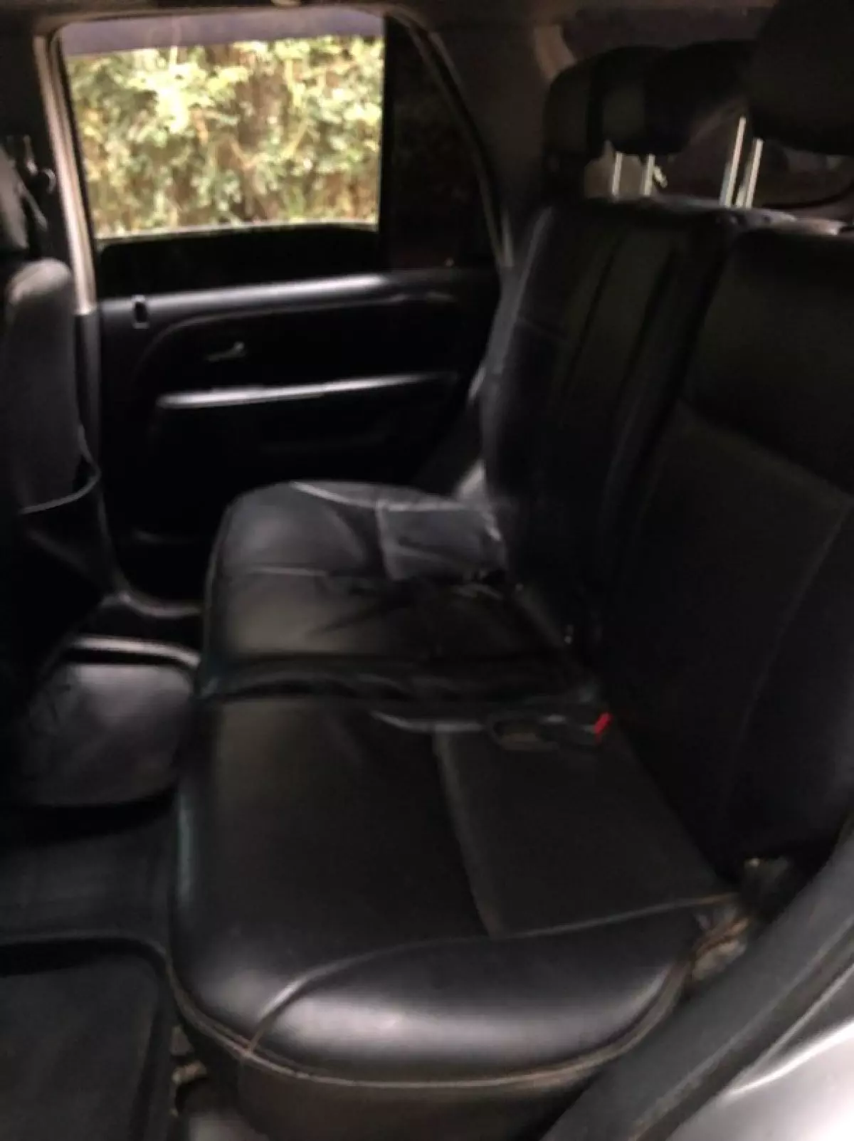 interiorBack