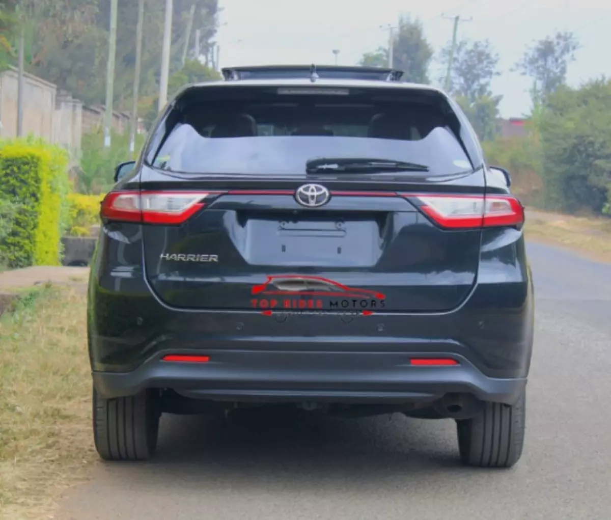back