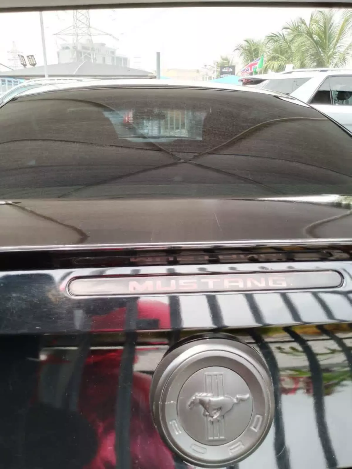 car Left Back