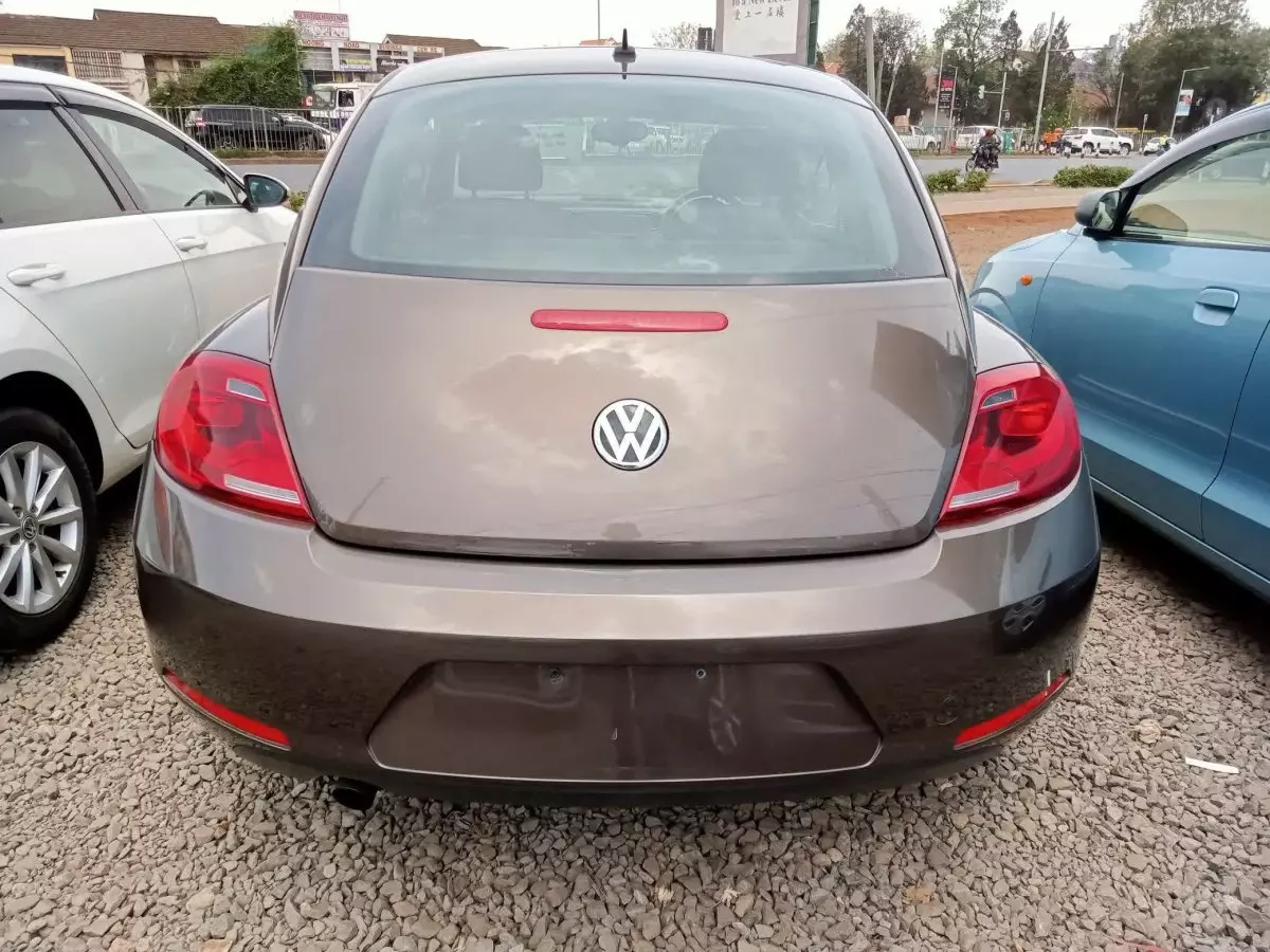 car Back