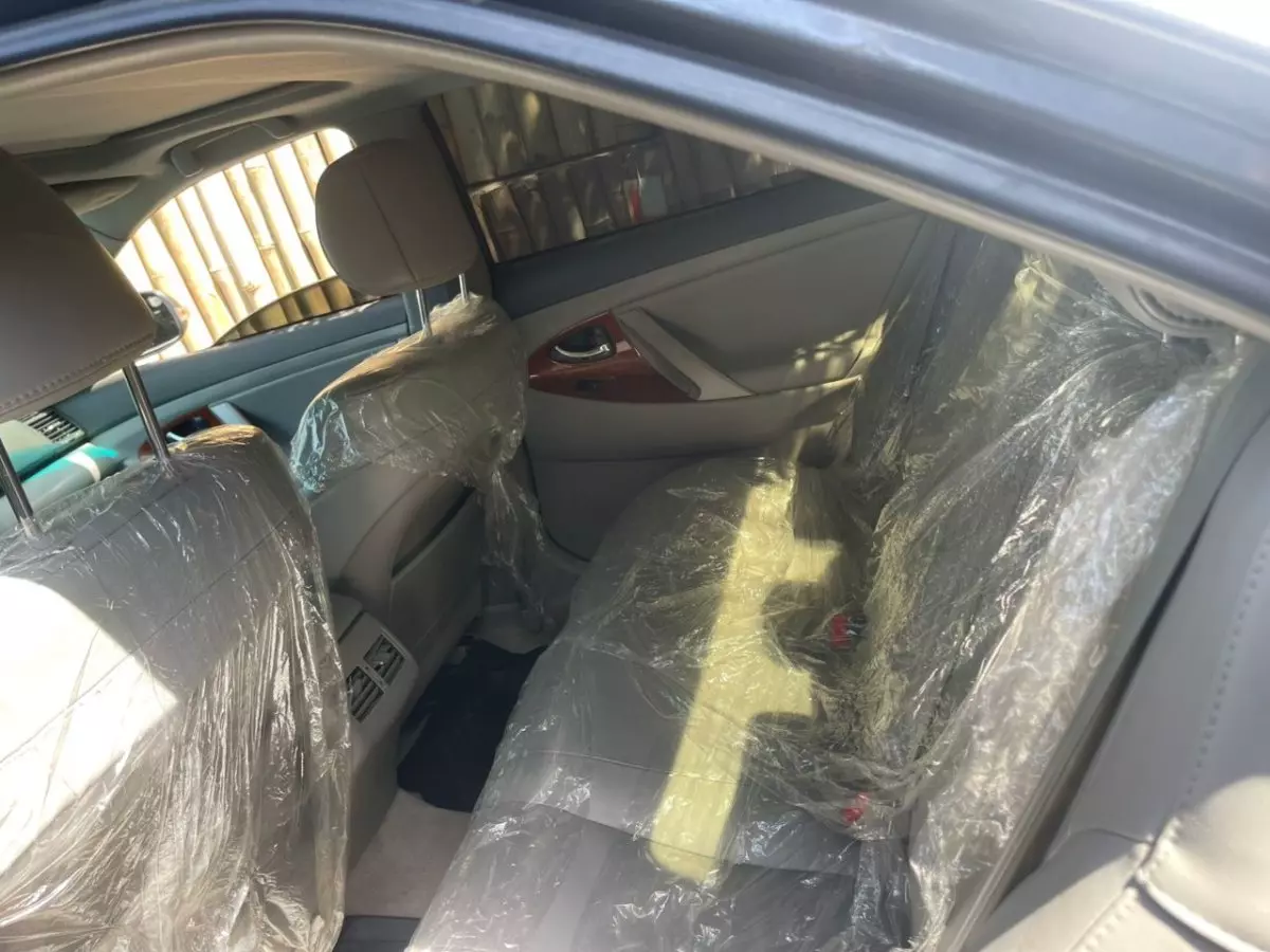interiorBack