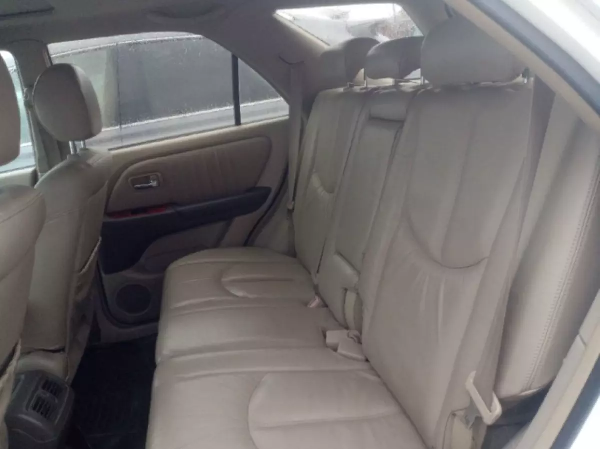 interiorBack