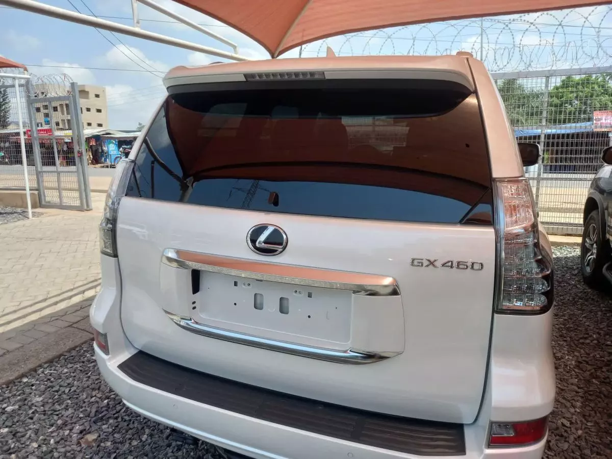 car Back