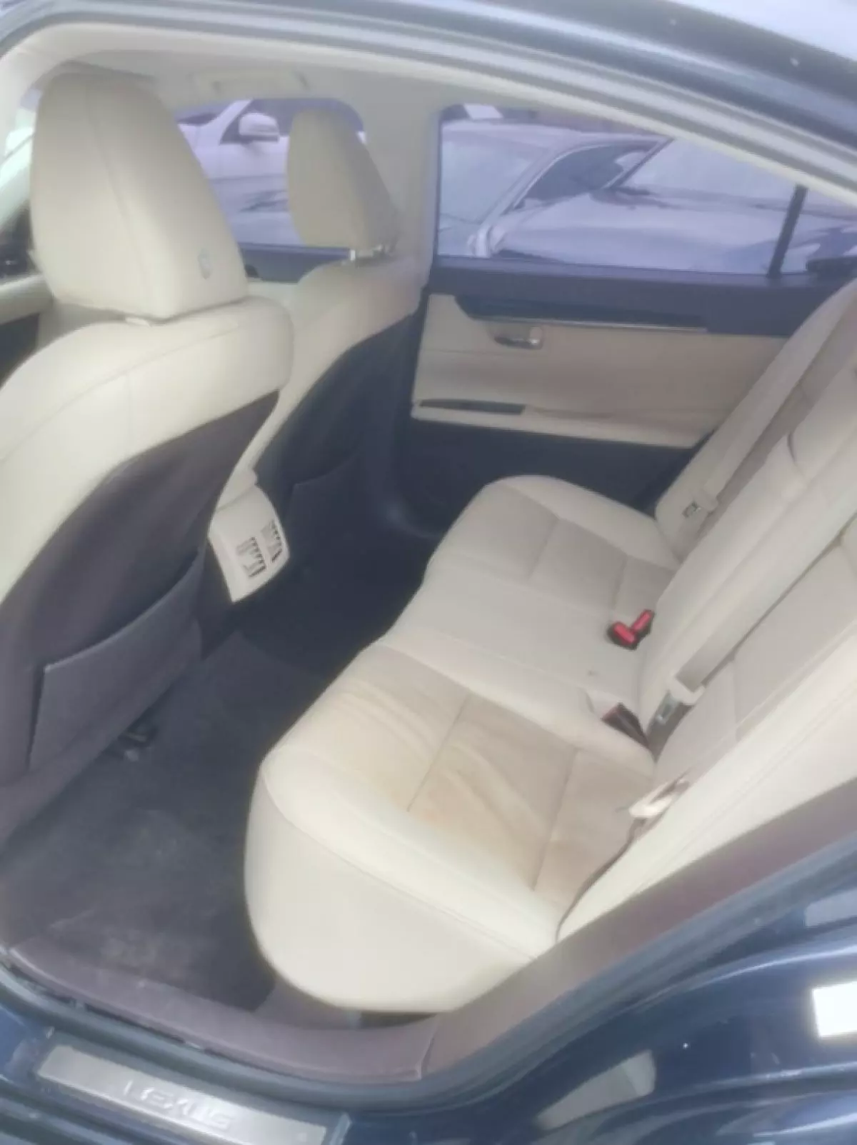 interiorBack