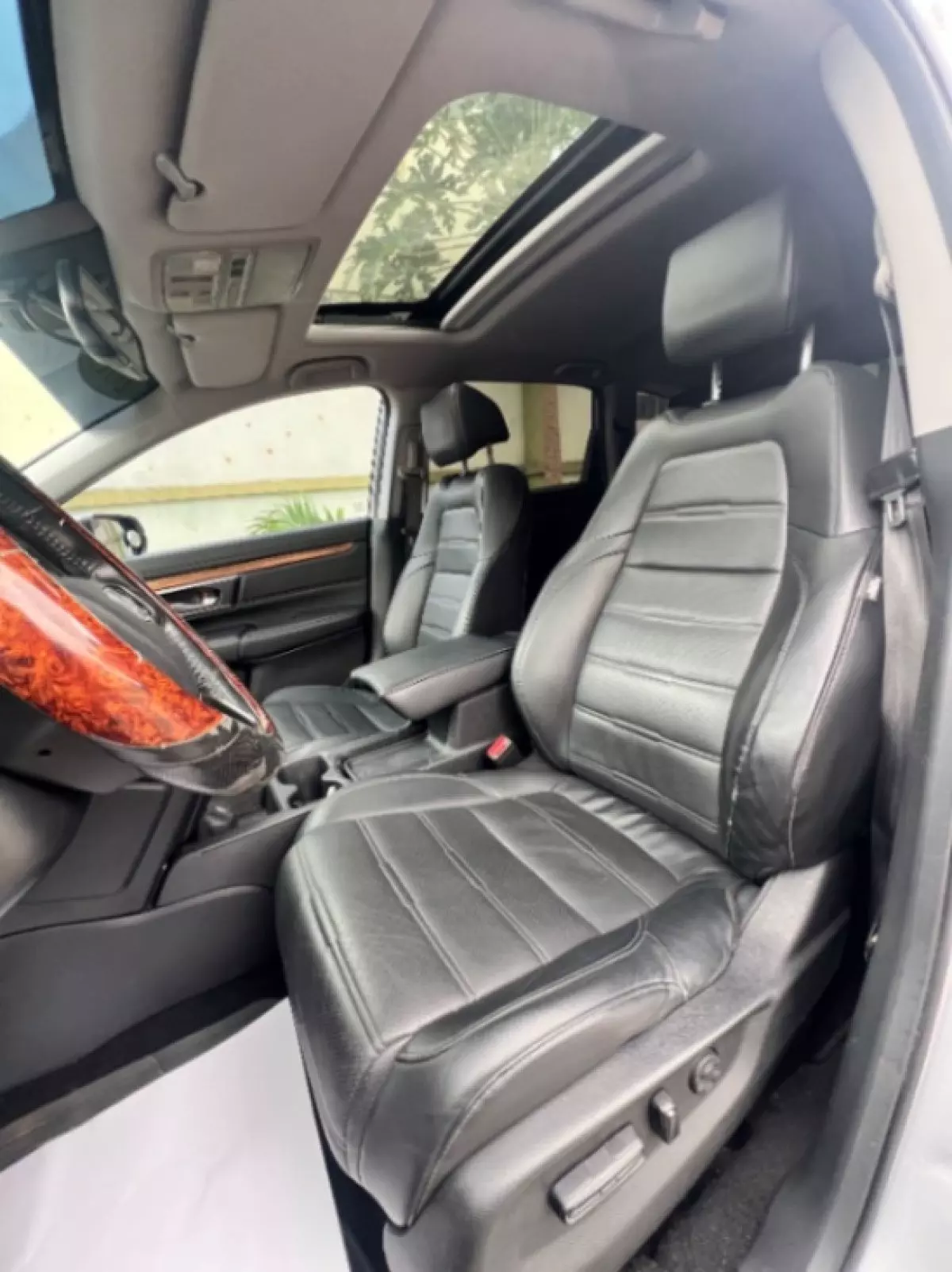 interiorBack