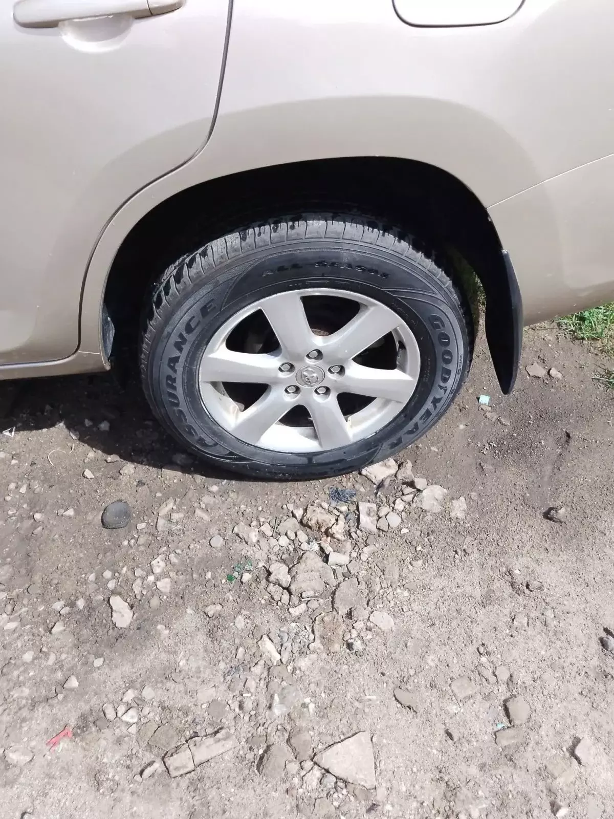 tyre2