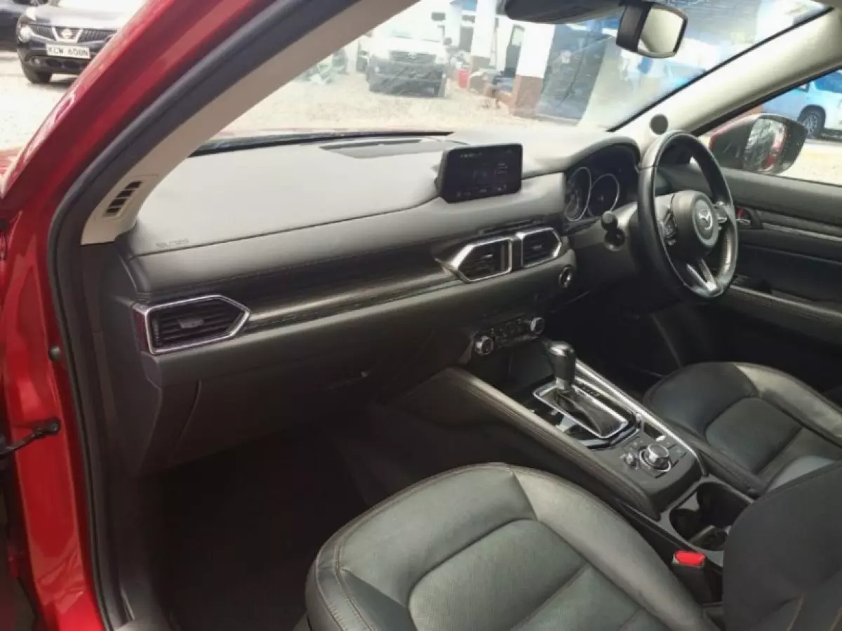 interiorBack