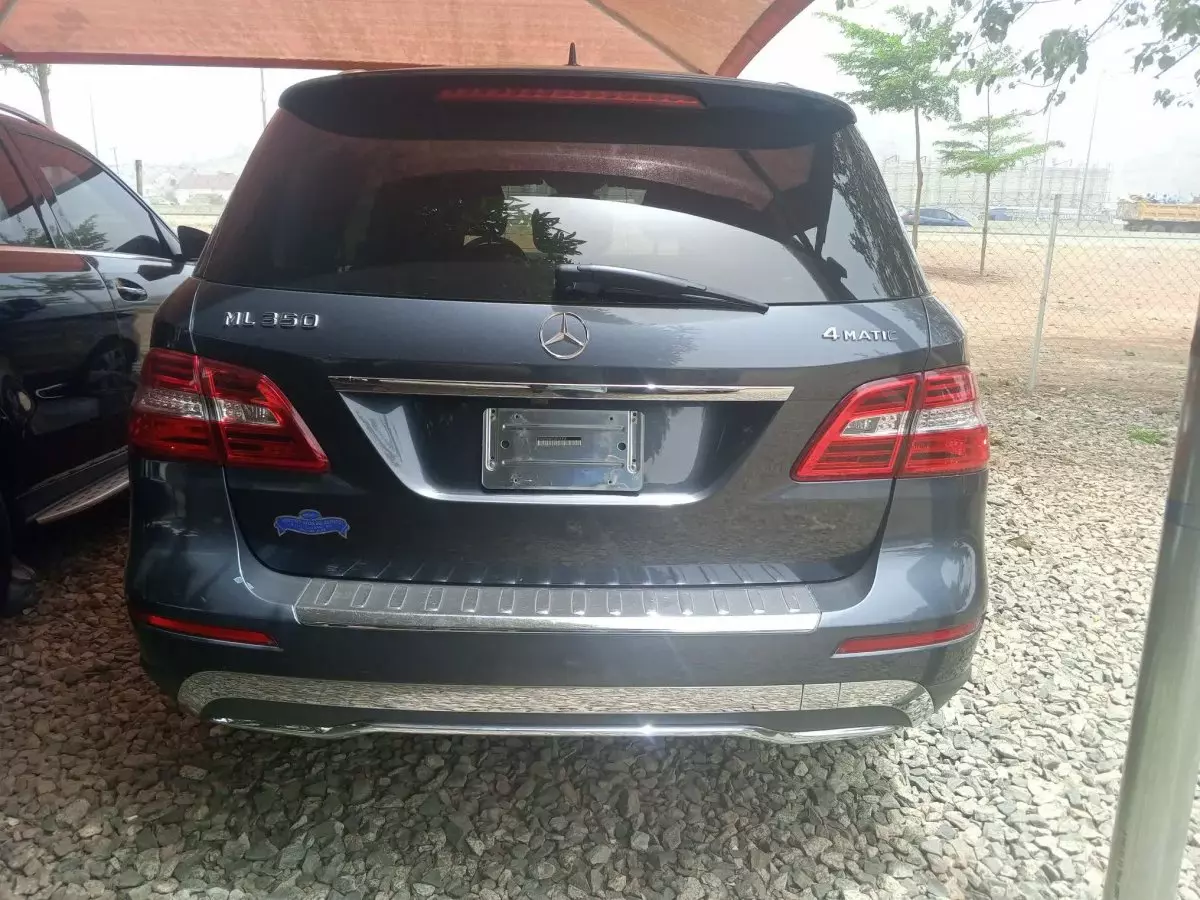 car Back