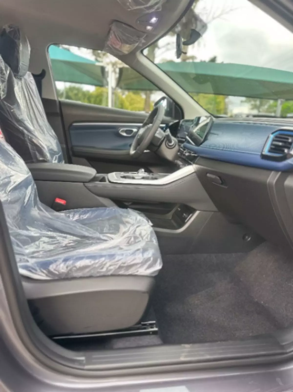 interiorBack
