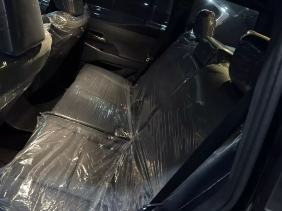 interiorBack