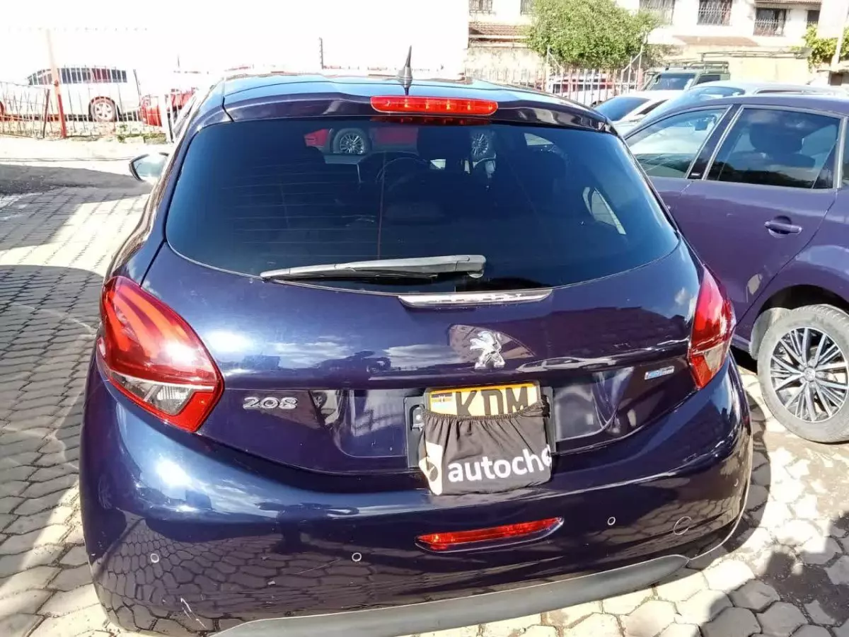 car Back